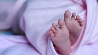 Депутат ЗакСа предложил построить роддом на месте снесенных в Приморском районе гаражей