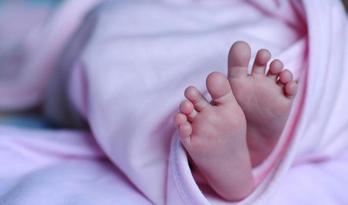 Комиссия ЗакСа поддержала законопроект о ежемесячных выплатах при рождении первого ребенка - tvspb.ru