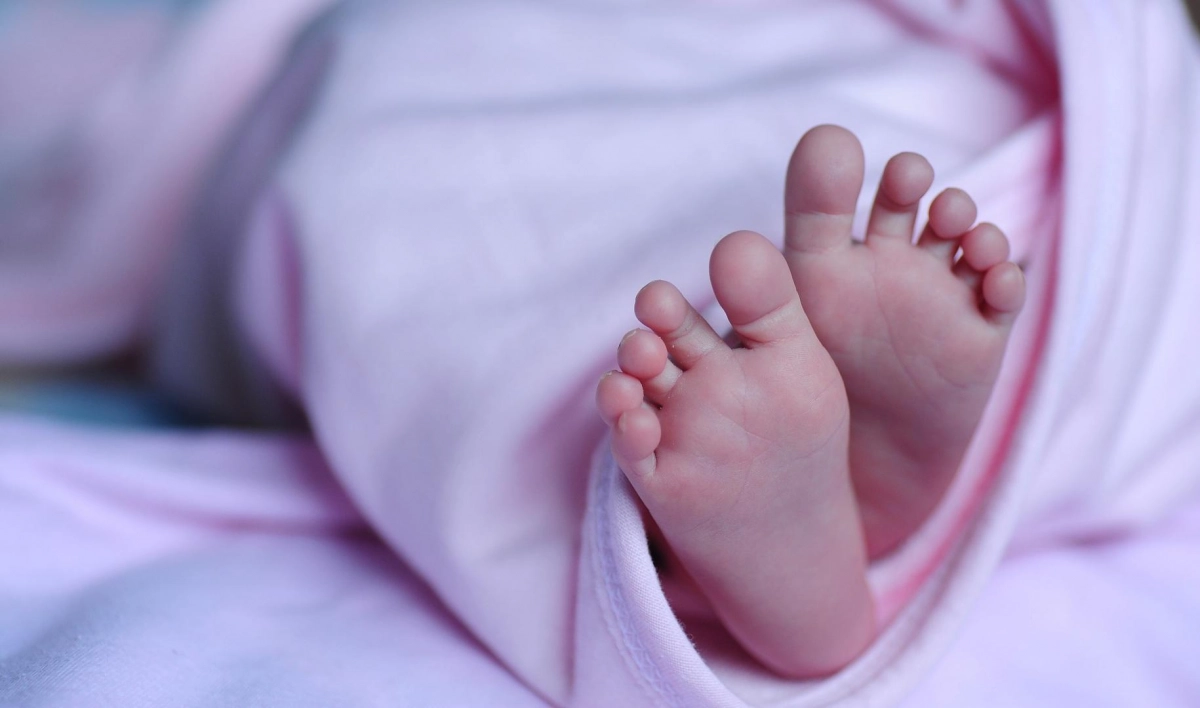 В Колпино возле сквера нашли новорожденную девочку - tvspb.ru