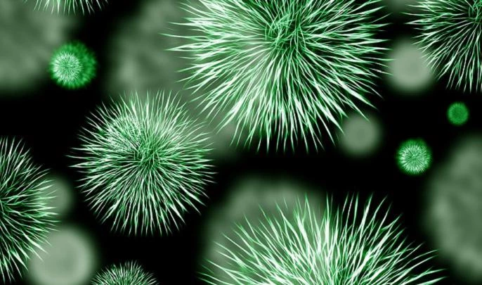 Эксперты считают, что супербактерии станут причиной смертельной эпидемии - tvspb.ru