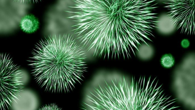 Эксперты считают, что супербактерии станут причиной смертельной эпидемии