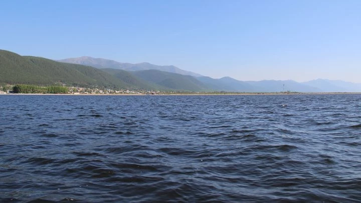 Воду Байкала в местах гибели нерп исследуют на отравляющие вещества - tvspb.ru