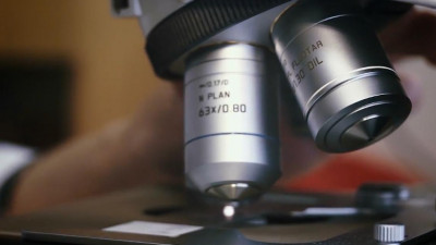 Ученые: на смену антибиотикам могут прийти бактериофаги