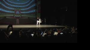 Звезды Мариинского и Михайловского на благотворительном концерте