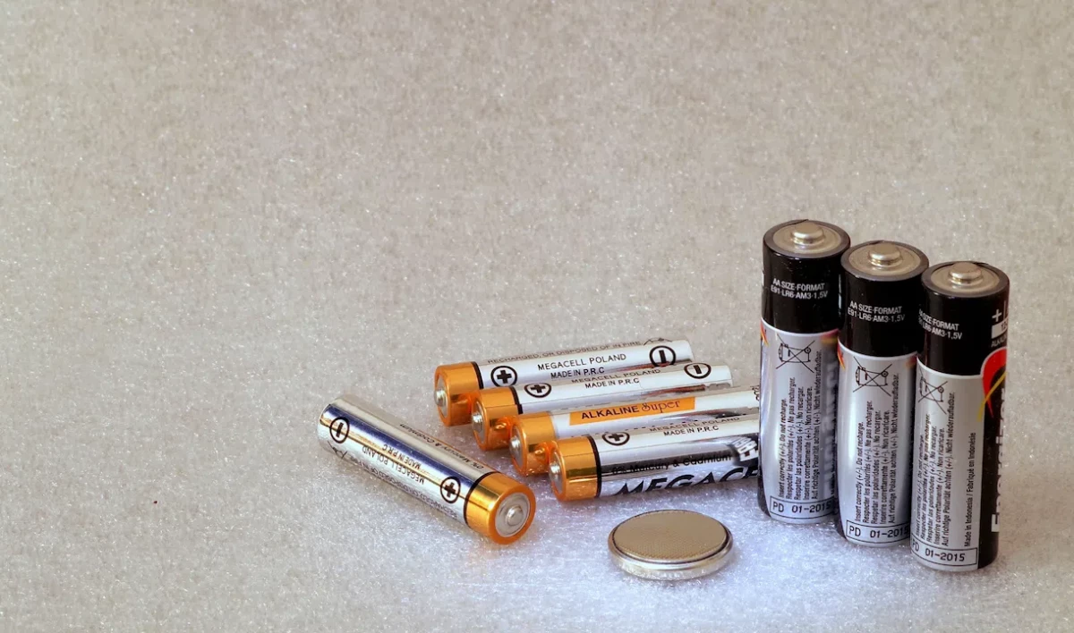 Жители Ленобласти собрали почти 730 кг использованных батареек за год - tvspb.ru