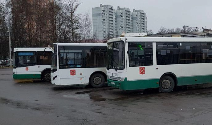«Пассажиравтотранс» закупит 61 новый автобус на газомоторном топливе - tvspb.ru