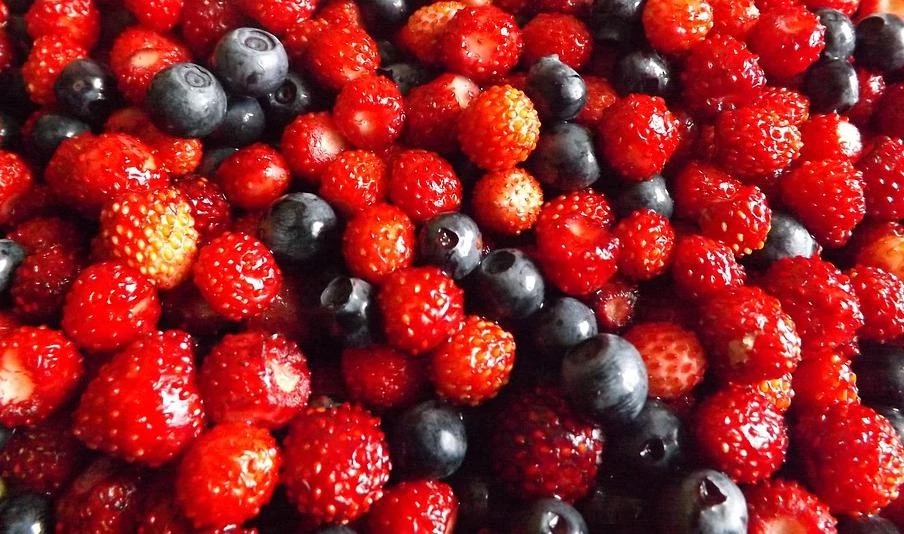 В Петербург поступило более 19 тонн свежих ягод из Сербии и Белоруссии - tvspb.ru