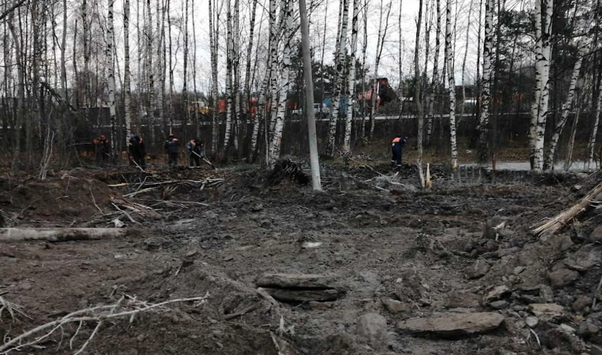 В Ленобласти показали, как идет освобождение залитого бетоном леса - tvspb.ru