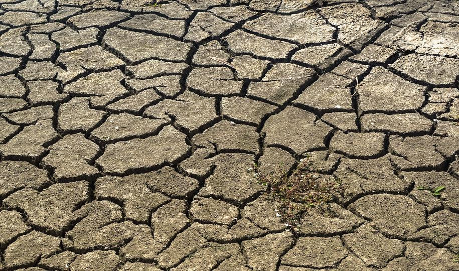 Ученые прогнозируют голод на Земле через 20 лет из-за перенаселения