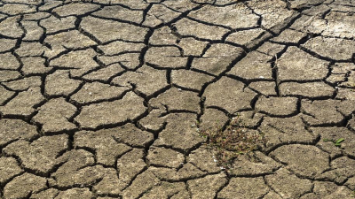 Ученые прогнозируют голод на Земле через 20 лет из-за перенаселения