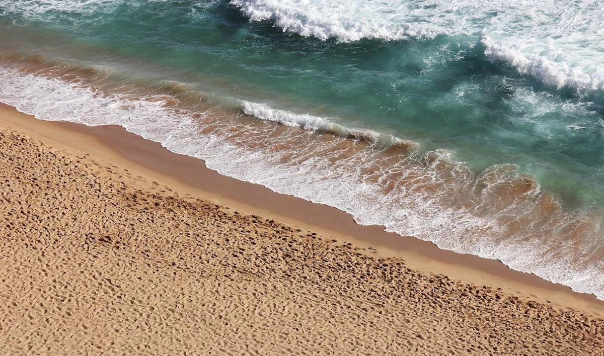 Депутаты ЗакСа предлагают приравнять пляжи к объектам благоустройства - tvspb.ru