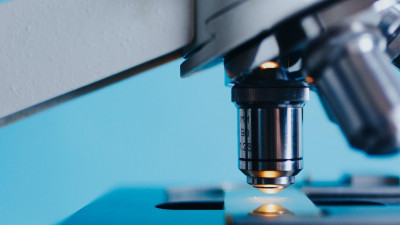 Петербургские ученые разработали технологию, которая упростит создание искусственных органов