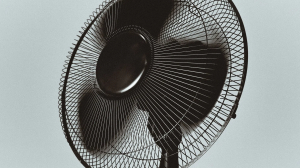 Совсем не панацея: чем опасен вентилятор в жару