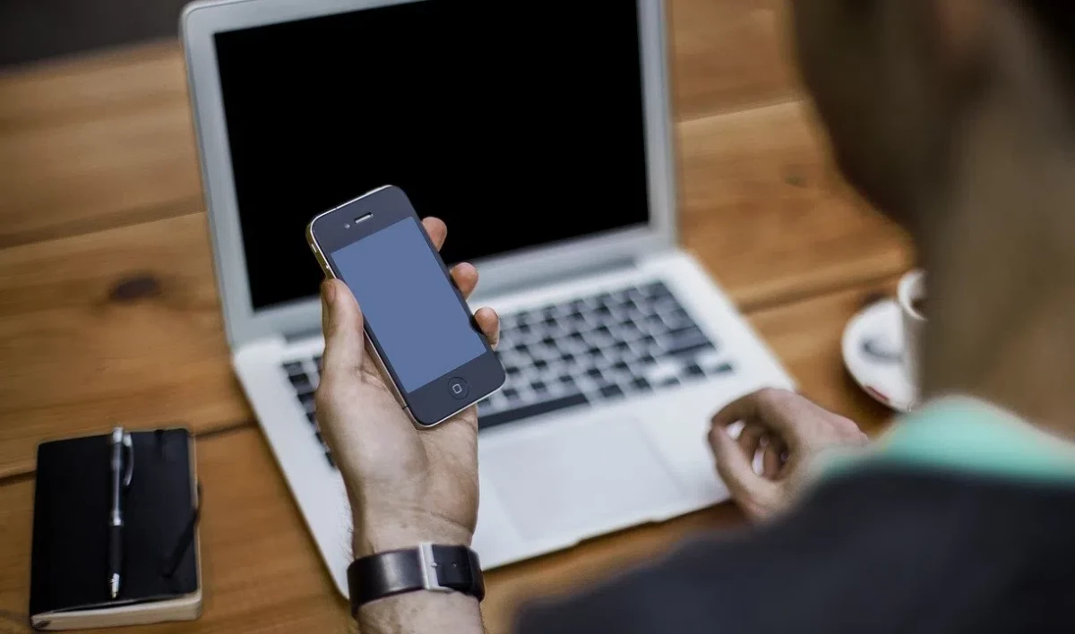 В Ленобласти появился чат-бот для предпринимателей и самозанятых - tvspb.ru