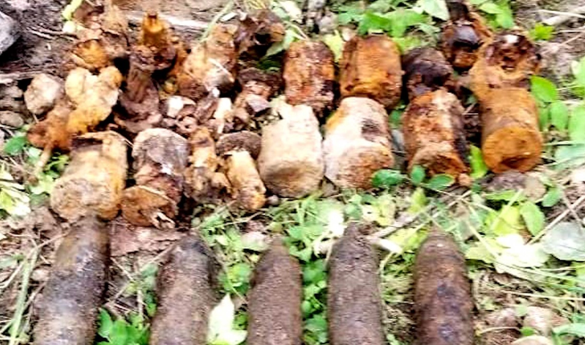 Более 20 снарядов времен войны нашли у кладбища в Павловске - tvspb.ru