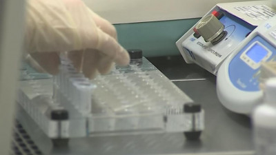 В Петербурге при помощи антиковидной плазмы вылечили 60 человек