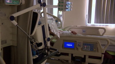 В Петербурге начал доминировать «омикрон»