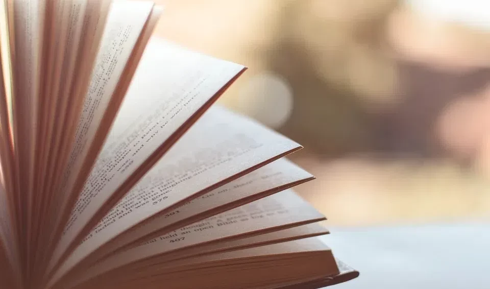 В Швеции назовут лауреата премии памяти Астрид Линдгрен - tvspb.ru