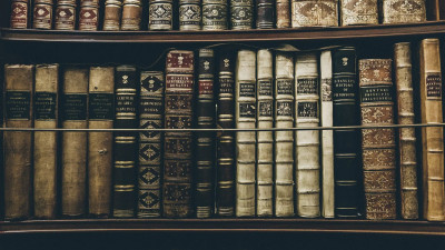 Библиотеки Петербурга хранят больше двух тысяч книг о Гарри Поттере