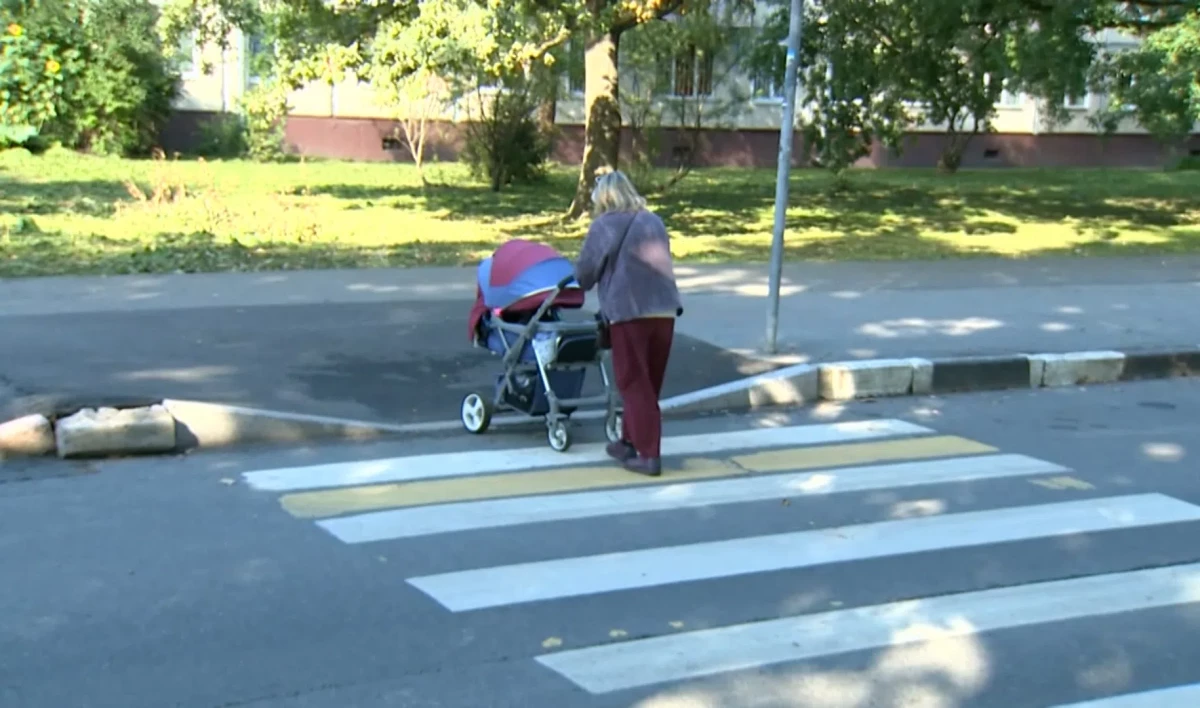 Порядка 30 безопасных «зебр» появится в 12 районах Петербурга в этом году - tvspb.ru
