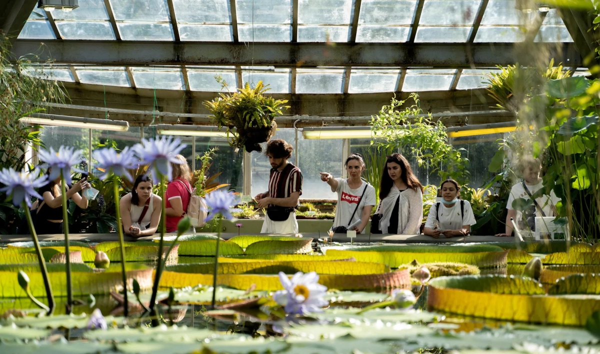 В Ботаническом саду пройдет фестиваль американских растений - tvspb.ru