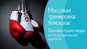 Спорт вечером
