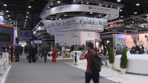 Решений об отмене БРИКС не принималось