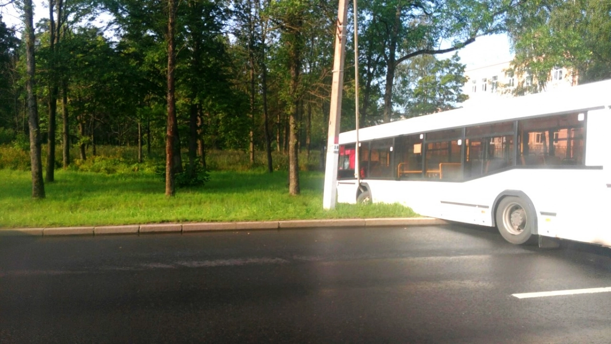 В Петергофе столкнулись два автобуса. Есть пострадавшие - tvspb.ru