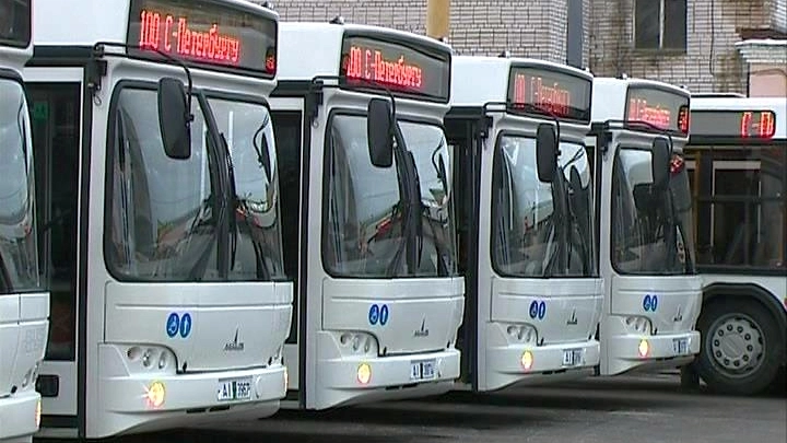 Петербургские ночные автобусы в праздники перевезли более 4 тысяч пассажиров - tvspb.ru