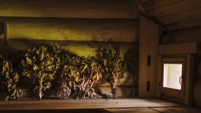 Терапевт рассказал, что привитым и переболевшим COVID-19 не стоит ходить в баню