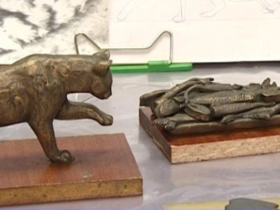 Ученые придумали, как переключать каналы при помощи кота - tvspb.ru