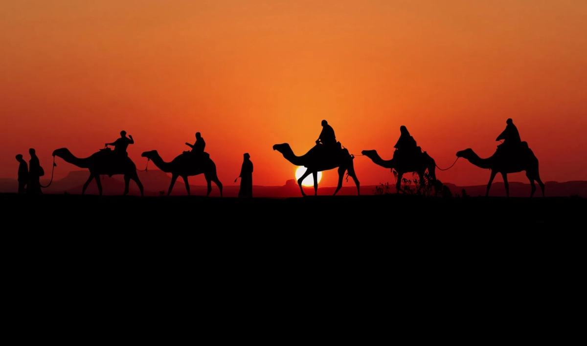 День памяти Силуана Афонского и Международный день караванщика. Что отмечают 24 сентября - tvspb.ru