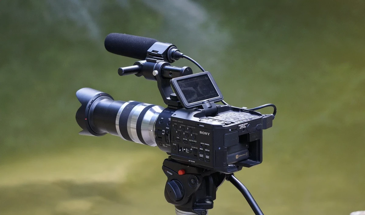 Петербургские кинокомпании поддержат субсидиями - tvspb.ru