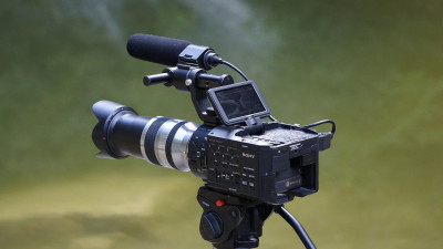 Петербургские кинокомпании поддержат субсидиями