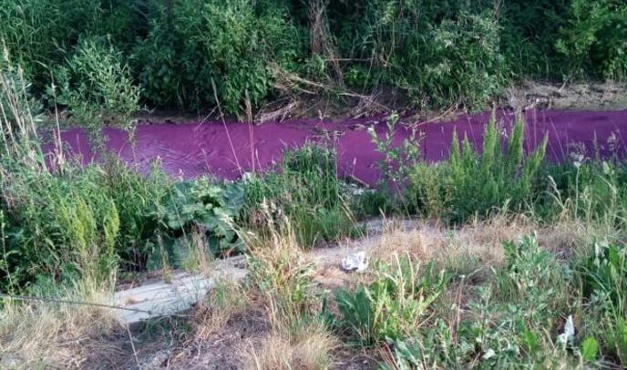 Жители Рыбацкого обратили внимание на фиолетовую воду реки Мурзинки - tvspb.ru