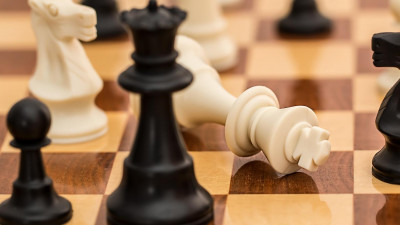 Встреча за шахматную корону пройдет в 2021 году