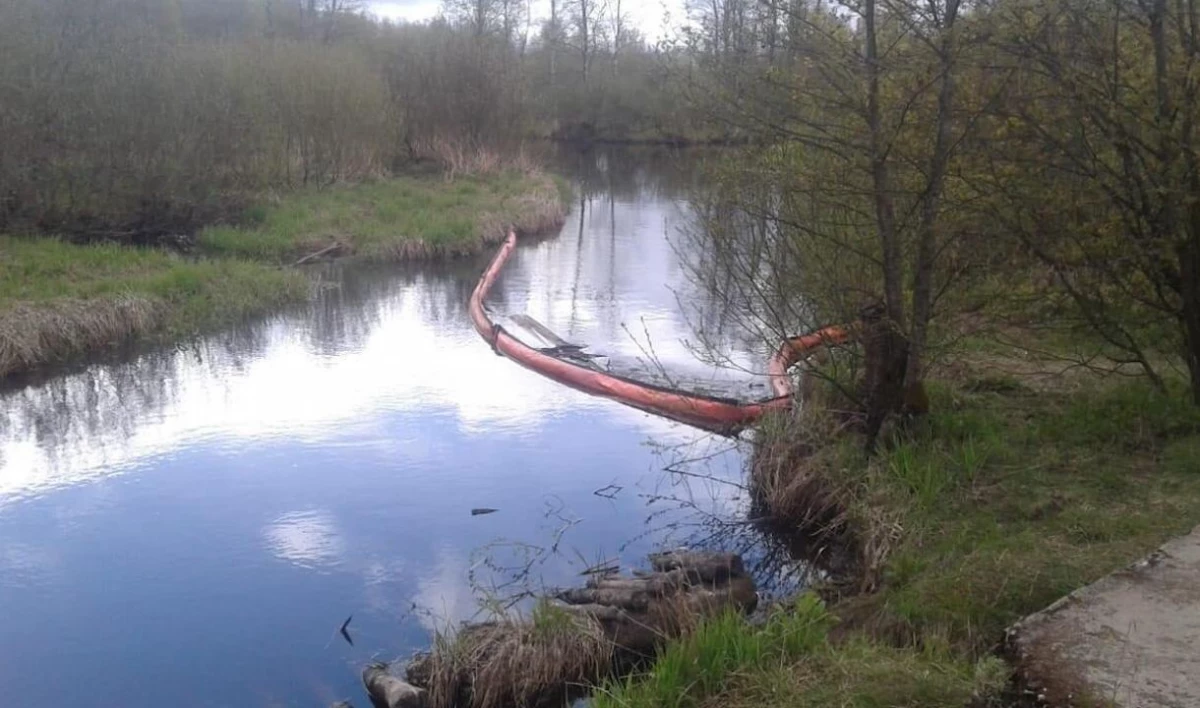 Почти полторы тонны нефтепродуктов собрали из загрязненной реки Черная - tvspb.ru