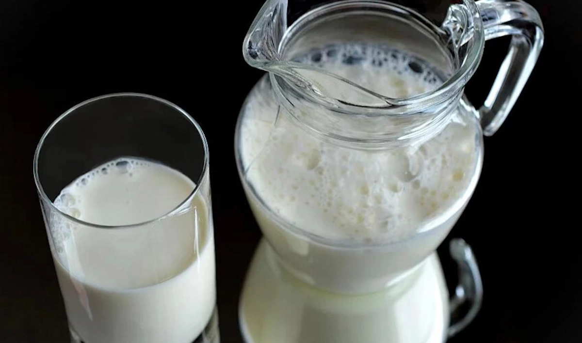 Контрольная закупка. Эксперты рассказали, как правильно выбрать молочные продукты петербуржцу - tvspb.ru