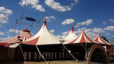 В Ленобласти запретили работу передвижных цирков шапито из-за COVID