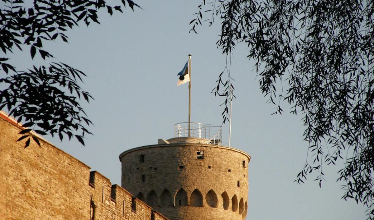 Эстония предъявила России территориальные претензии - tvspb.ru