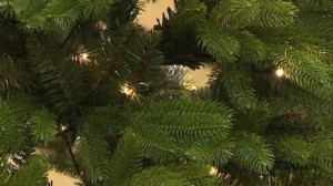 Максим Русанов тестирует искусственные елки