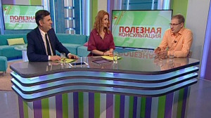 Усы, лапы, хвост: нужно ли давать витамины и как правильно кормить животных в зимний период? Консультация ветеринара