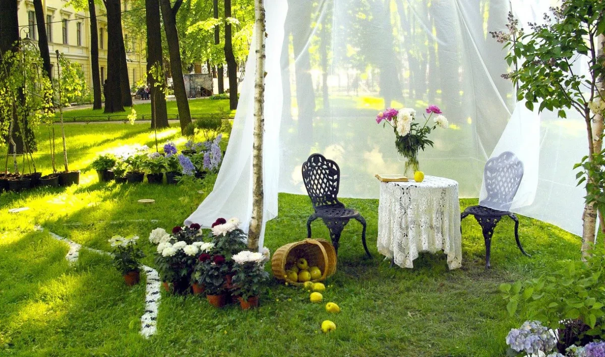 Дачи под Петербургом за лето значительно подорожали - tvspb.ru