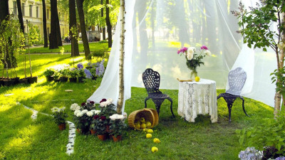 Дачи под Петербургом за лето значительно подорожали