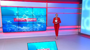 Степень защиты. 5 июня