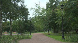 Губернаторский контроль. Благоустройство и озеленение