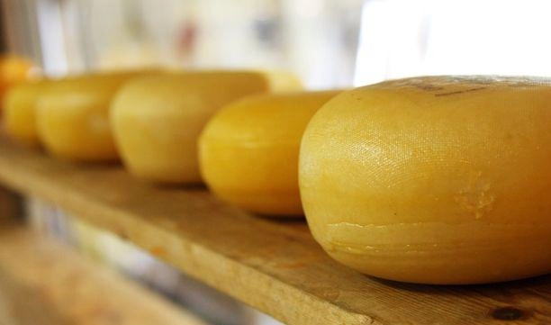 Власти заподозрили 25 процентов сыров в России в украинском происхождении - tvspb.ru