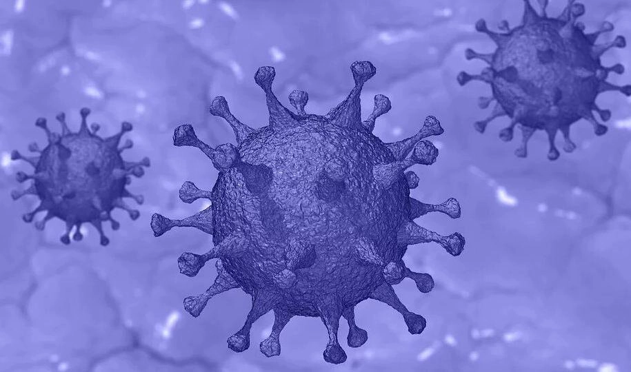 Американские ученые опровергли один из мифов о коронавирусе - tvspb.ru