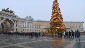 Дед Мороз на Дворцовой