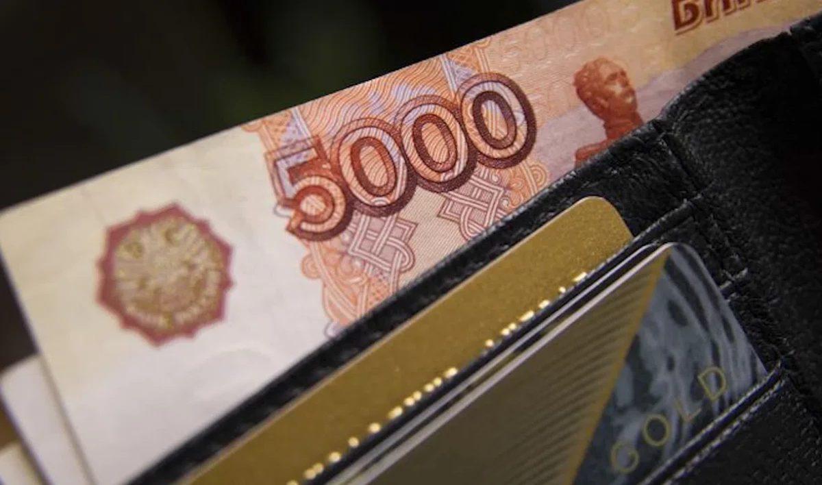 Единовременные выплаты на школьников в 10 тыс. руб. будут предоставлены по одному заявлению - tvspb.ru
